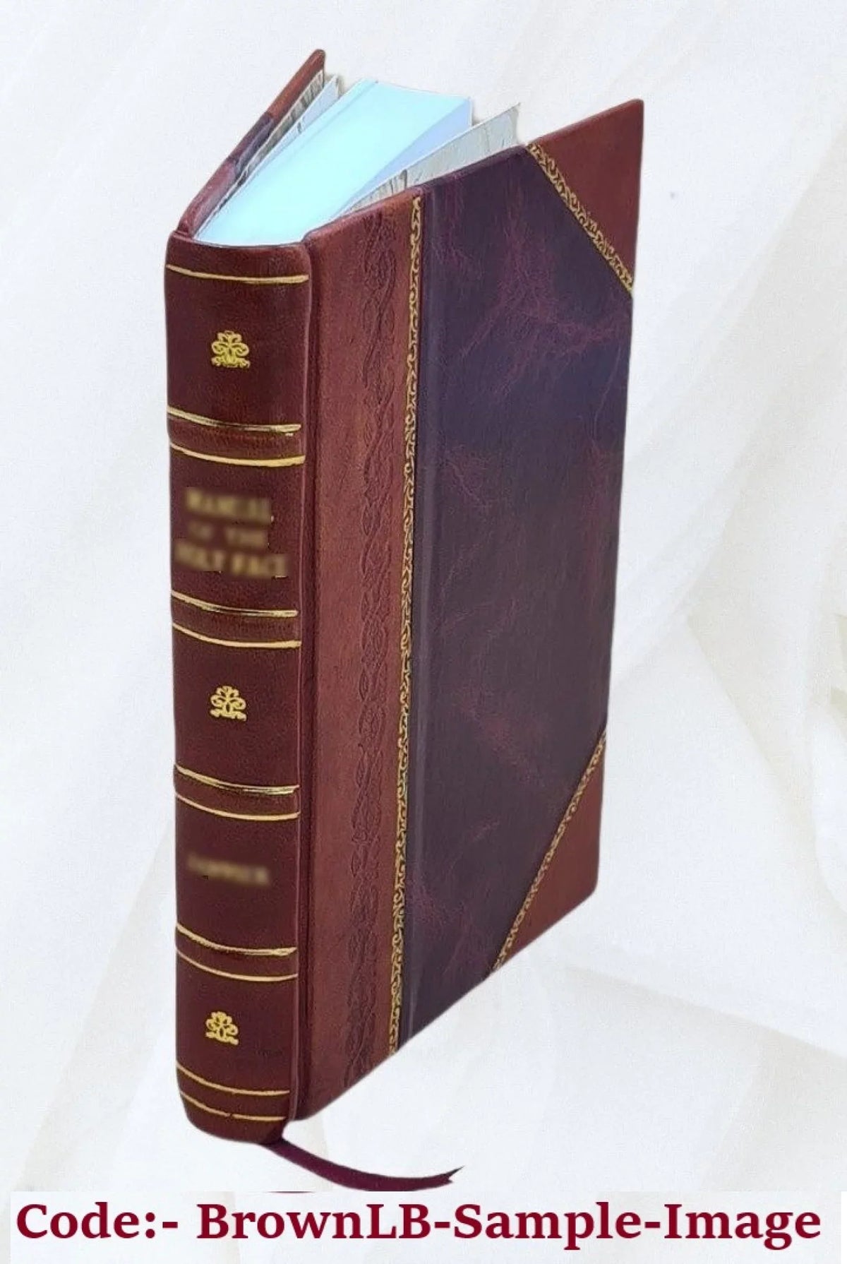 origin : optimo De Petri interpretatione : libri interpretandi De alter de interpretibus.. Danielis His duo Huetii Romanensium quorum est, fabularum prior genere claris accessit de
