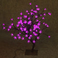 Hi-Line Pink Bonsai Gift Tree, Lights LED Ltd 208-Inch, Floral