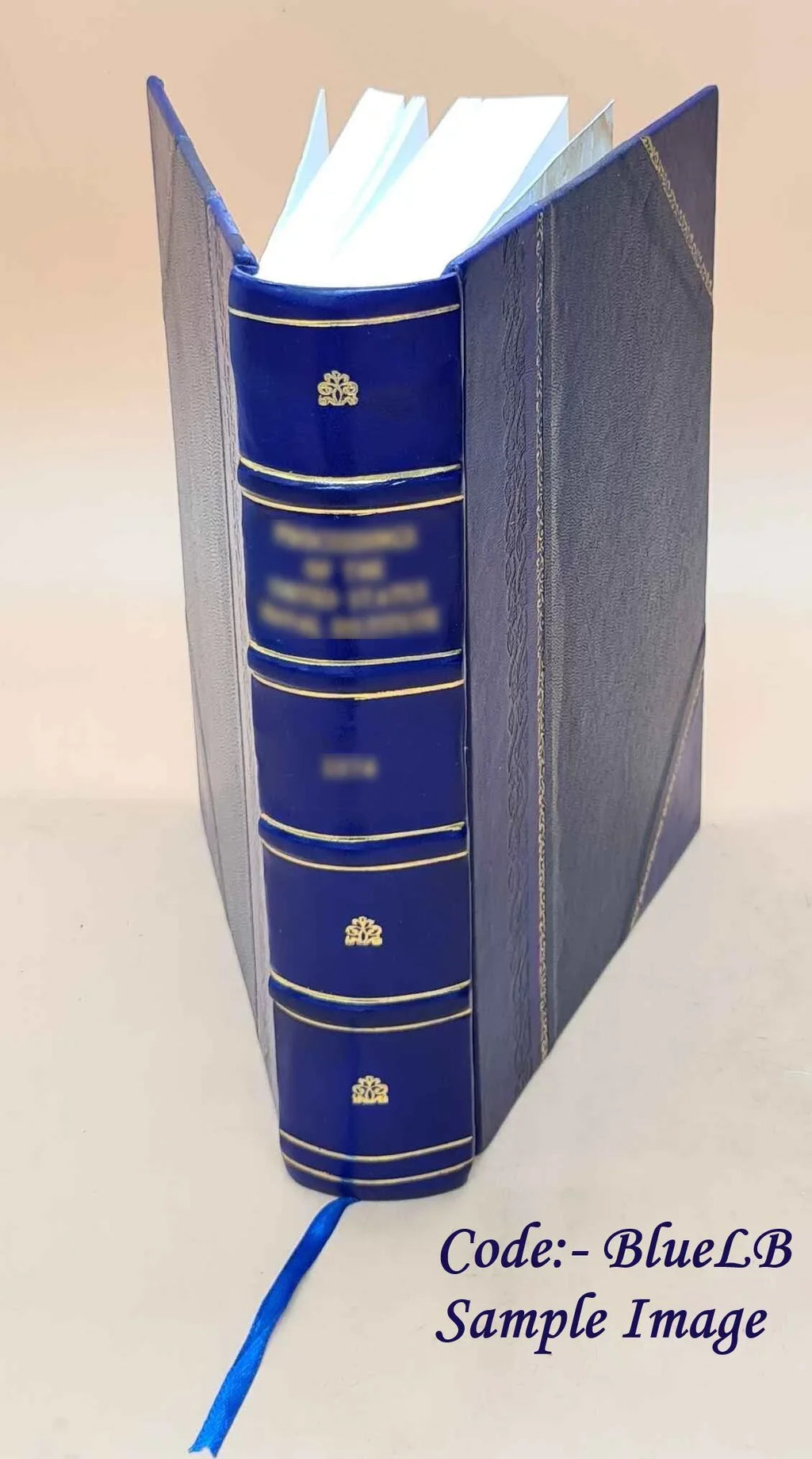 1914 The [Leather Bound] sins of the fathers