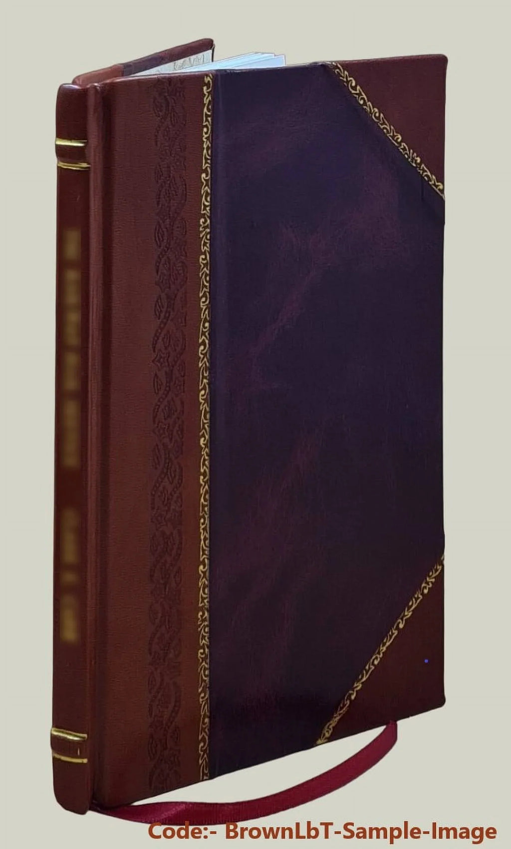 [Leather Bound] sam hill the 1911 What