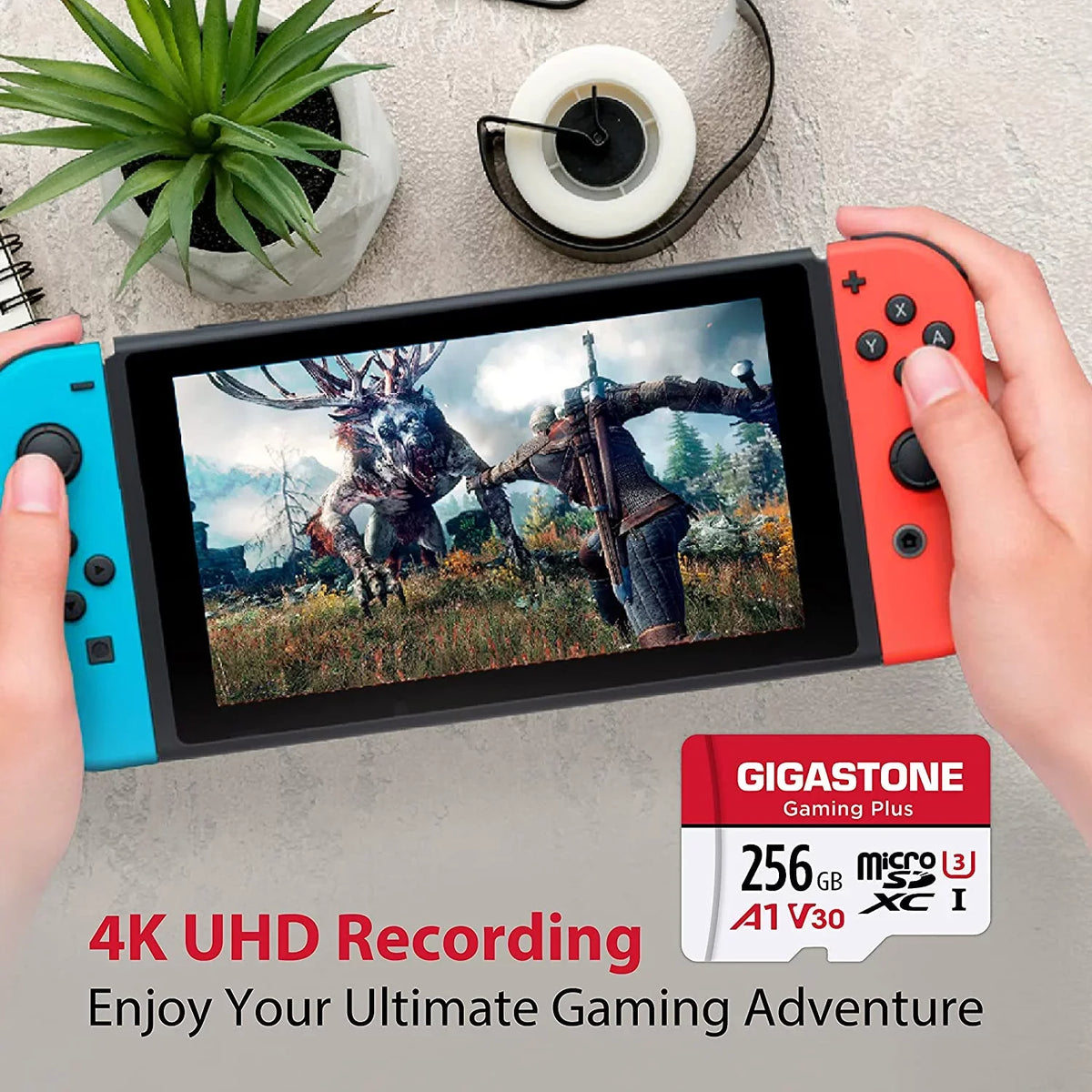 Memory Gaming ro Nintendo-Switch, for GoPro, roSDXC Cam, , Plus, 256GB Wyze, [Giga] SD Dash