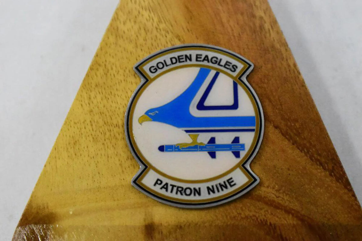 VP-9 Model 2019 P-8 Golden Eagles