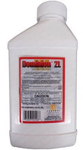 2L - Fluid 27.5 Ounce Termiticide/Insecticide Dominion Solutions Control