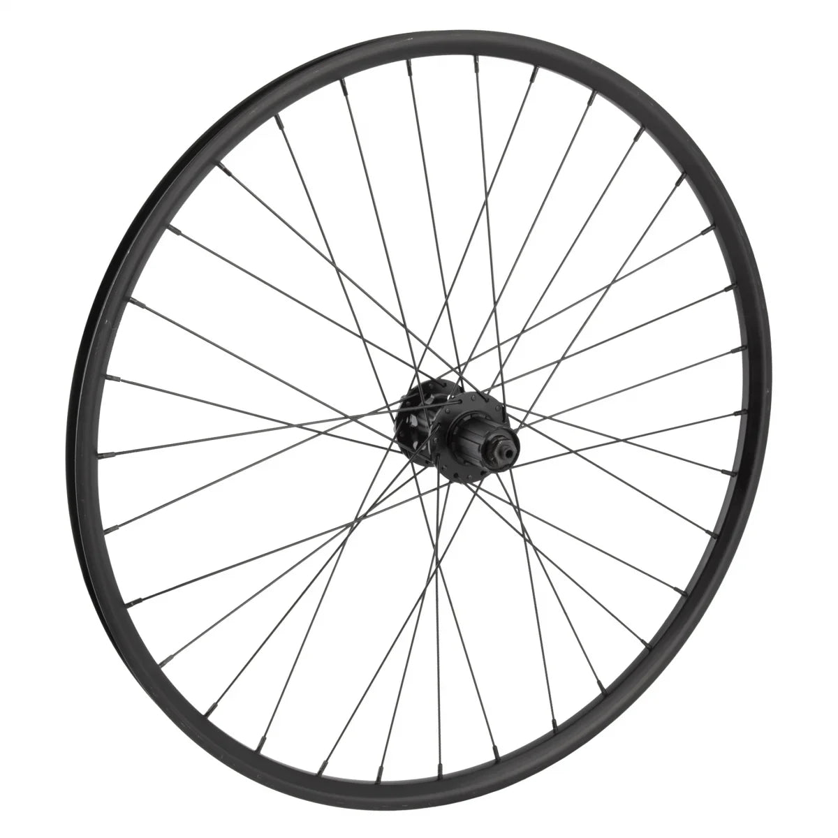 2.0 26in Mountain TCS ST WTB 6B Disc Double Alloy Wall RR Wheel 26in Master i21