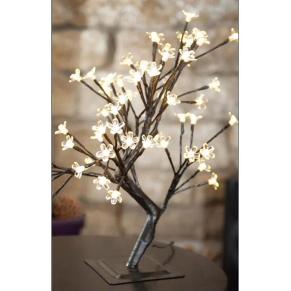 Hi-Line Pink Bonsai Gift Tree, Lights LED Ltd 208-Inch, Floral