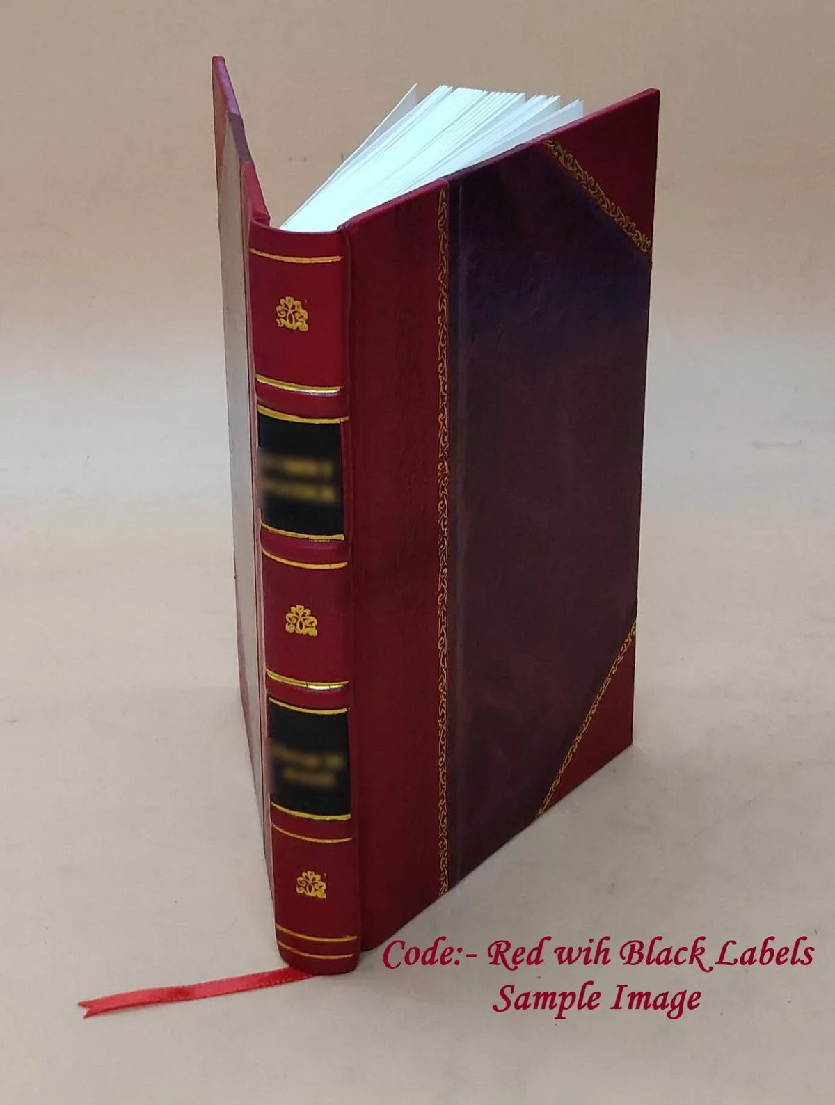 1914 The [Leather Bound] sins of the fathers