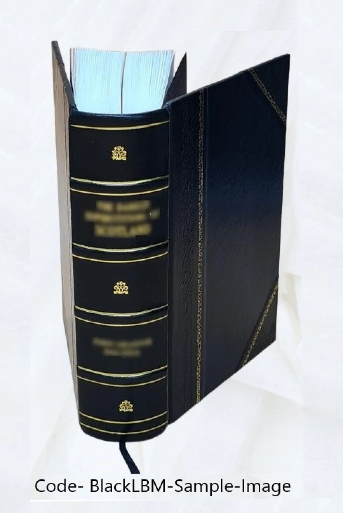 1 istoria del rame. t. [Leather e Cav. moderna, Con Bossi. Volume incise carte d'Italia antica e Bound] Luigi 1823 tavole geografiche Della in
