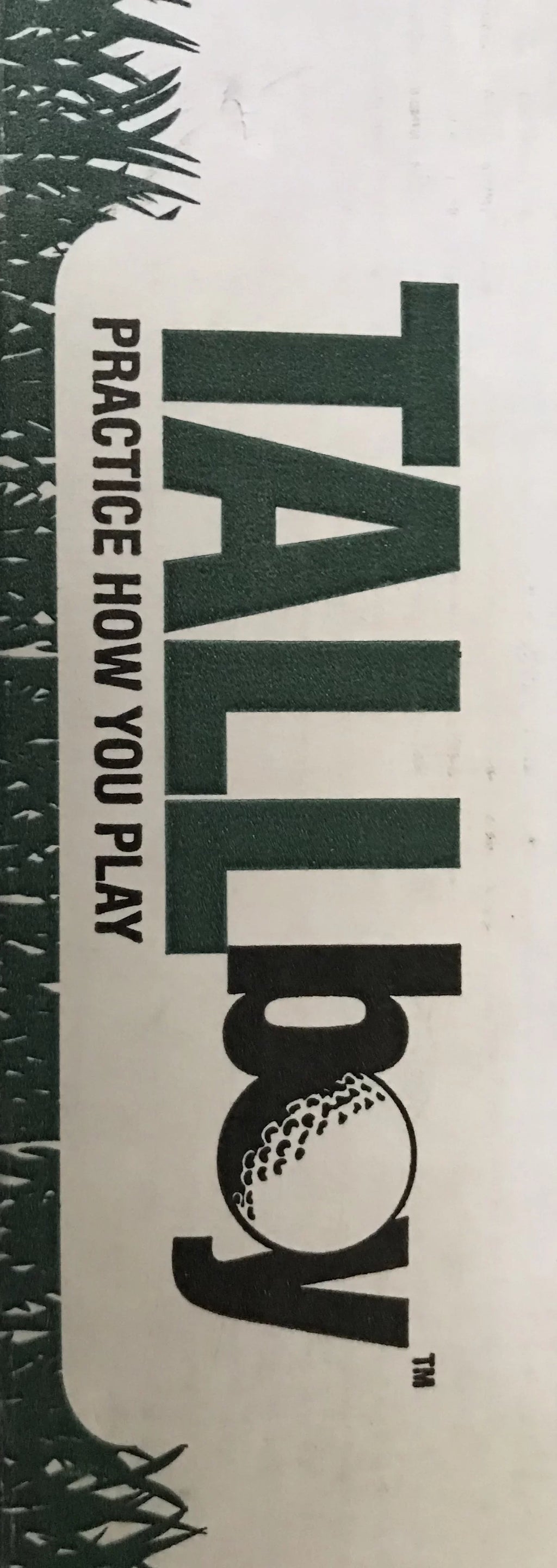 Commercial TallBoy Quality Mat Practice Golf 3x5