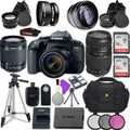 w/ Digital AF 70-300mm IS SLR EOS Lens||Tamron Autofocus T7i ||Accessory Telephoto Bundle Camera Lens Rebel f/4-5.6 EF-S 18-55mm Zoom Canon STM